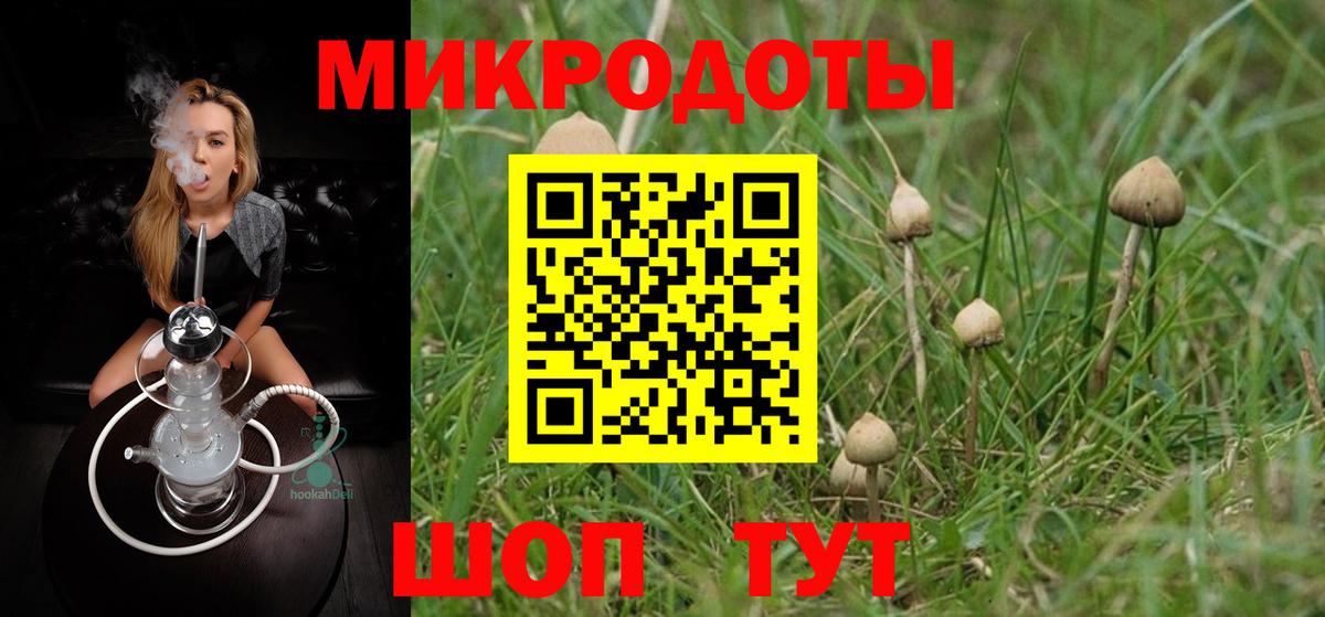 Псилоцибиновые грибы Psilocybe Белорецк