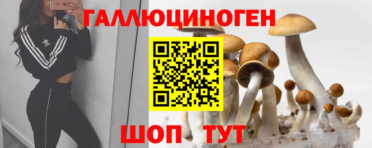 Галлюциногенные грибы Magic Shrooms  Вход с VPN  Белорецк 